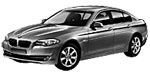 BMW F10 P3013 Fault Code